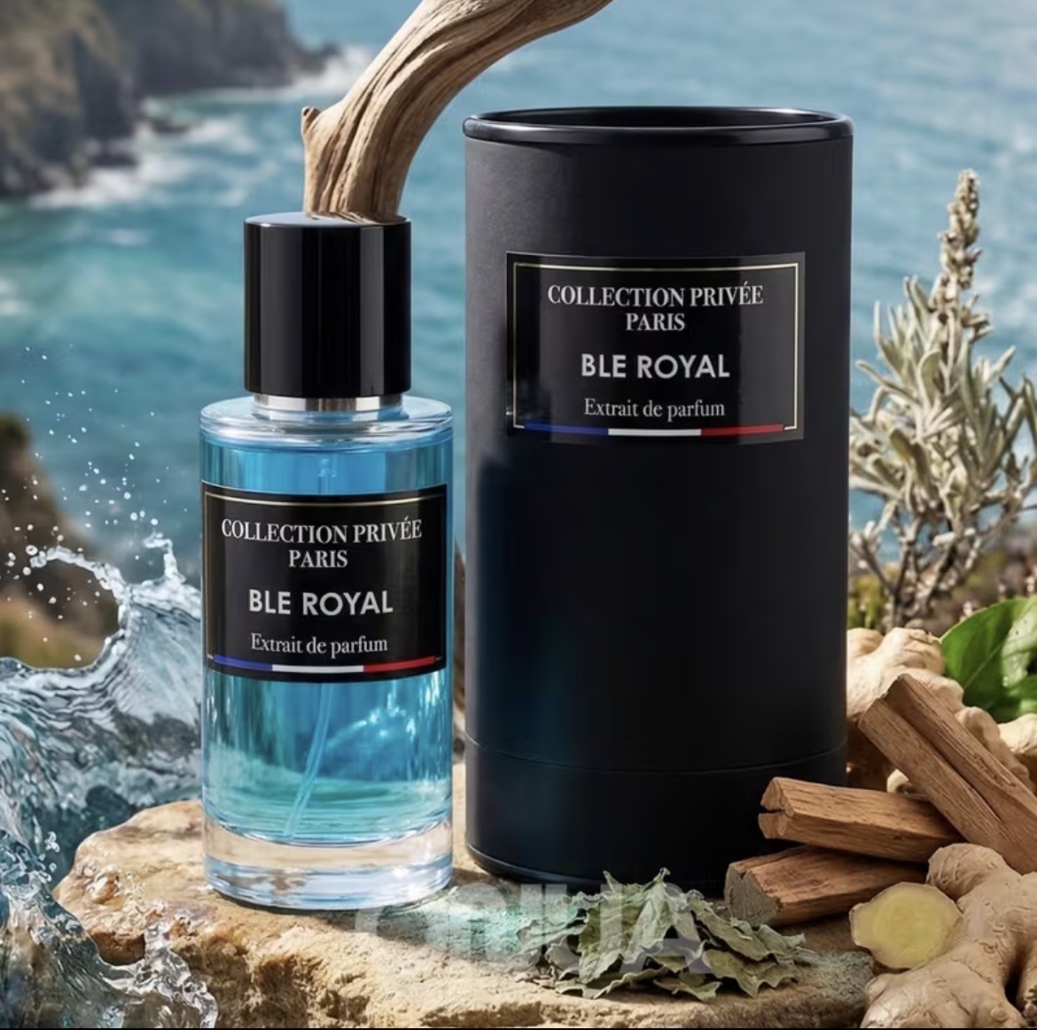 Collection Intense - BLE ROYAL 50ml | Eau de Parfum for Men